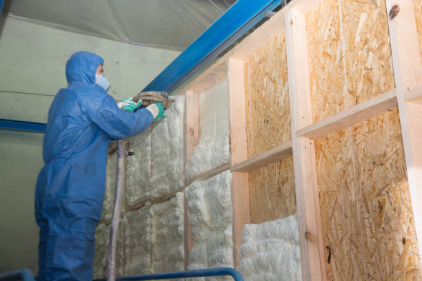 Best Affordable Insulation Services  in Wellsville, KS